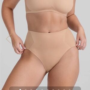 Honeylove crossover brief NWT